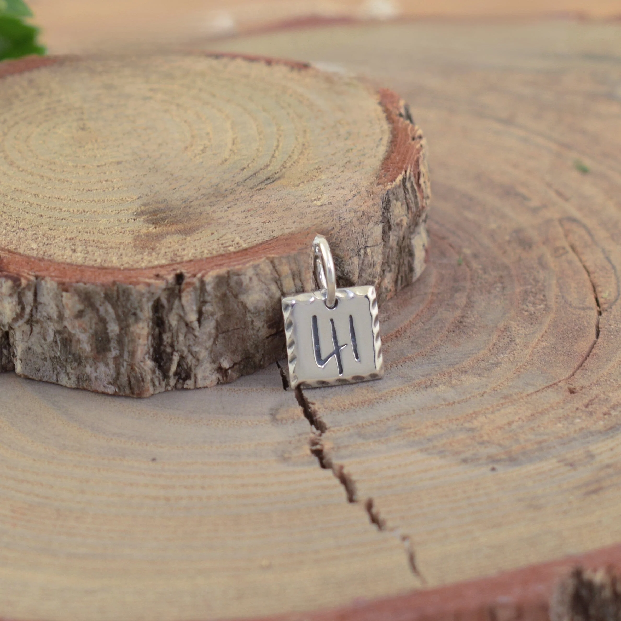 41 Pendant - Image 6