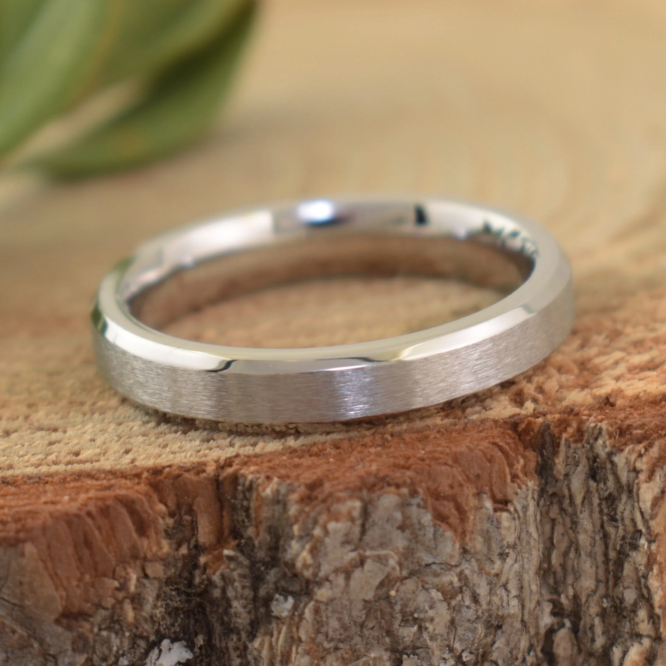 Brushed Stainless Band - Image 4