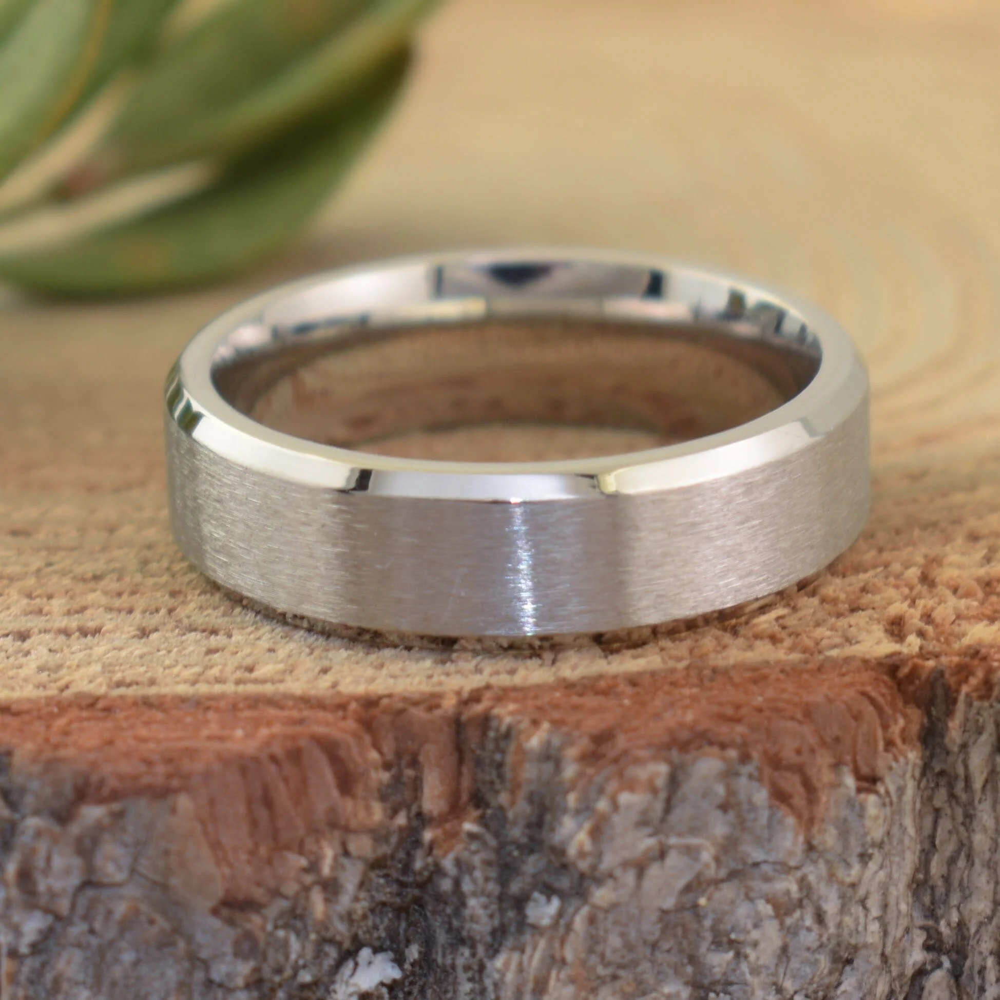 Brushed Stainless Band - Image 5