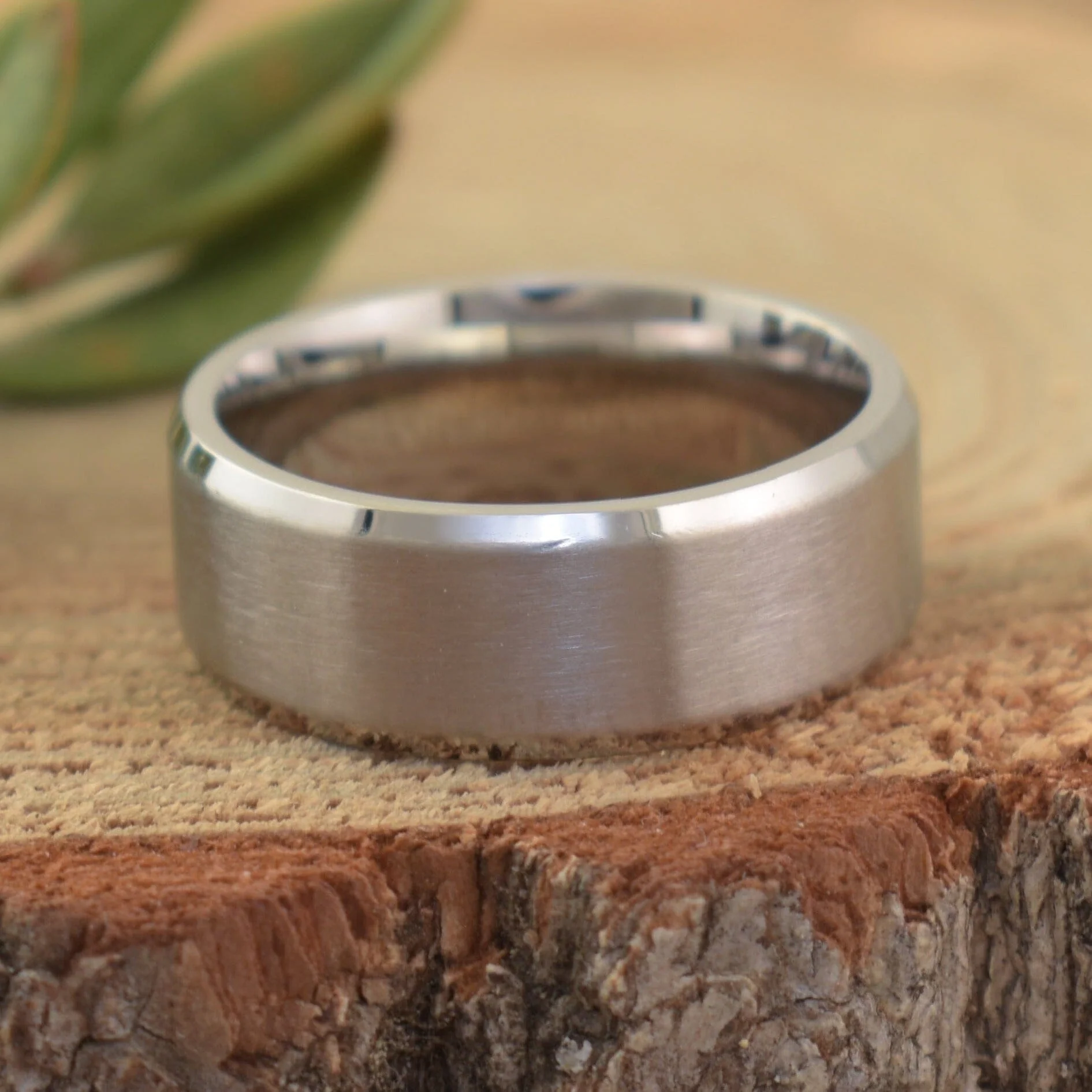 Brushed Stainless Band - Image 6