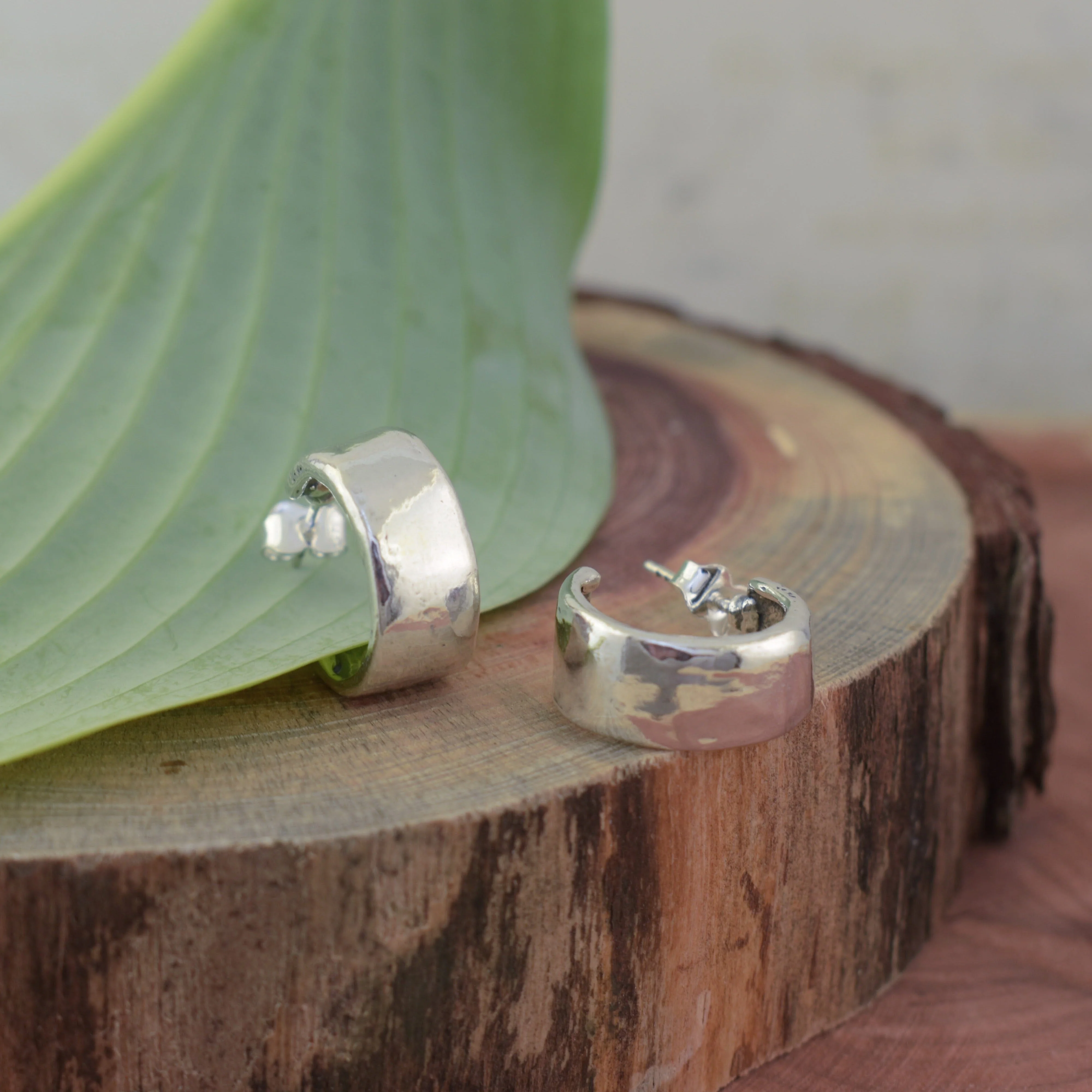 Dust & Silver Hoop Earrings